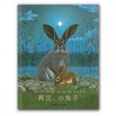 再见，小兔子（《森林大熊》作者代表作 荣获国际插画双年展大奖 关于自由与希望的杰作）/史坦纳